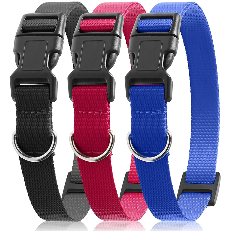 Hunde-Ersatzband für Erziehung – D Ring Strap Bewertung und Preis